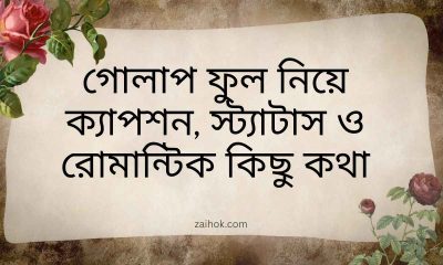 গোলাপ ফুল নিয়ে ক্যাপশন, স্ট্যাটাস ও রোমান্টিক কিছু কথা