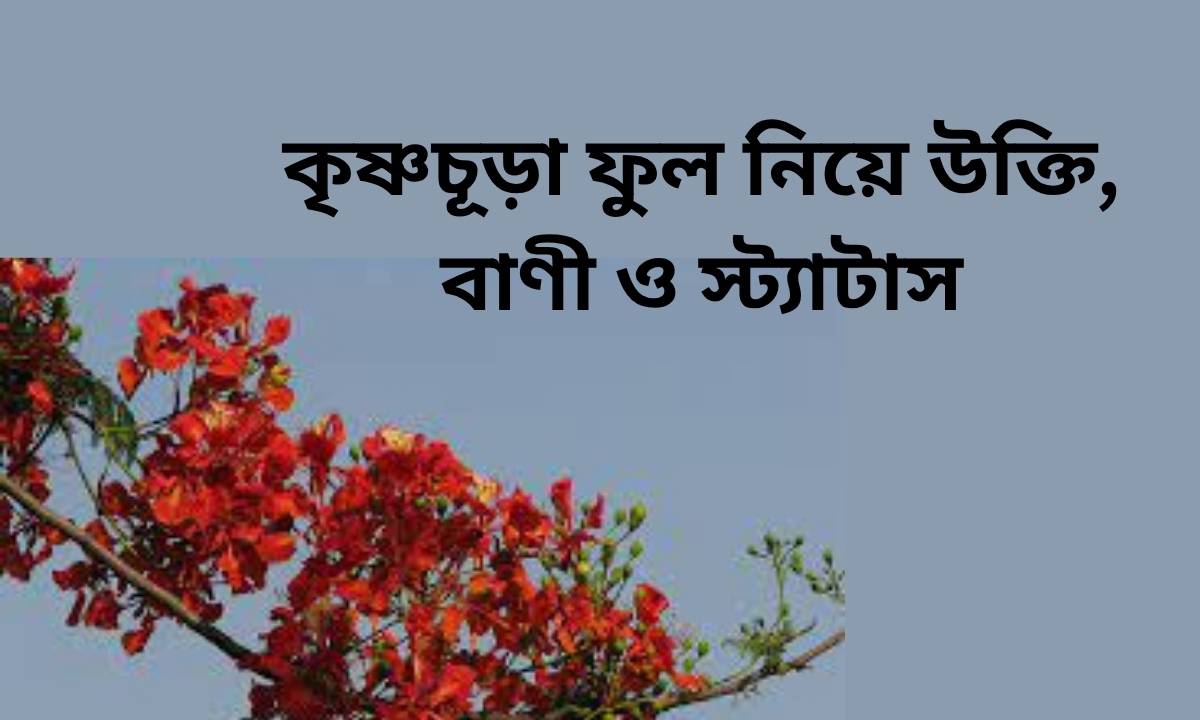 কৃষ্ণচূড়া ফুল নিয়ে উক্তি, বাণী ও স্ট্যাটাস