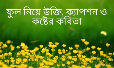 ফুল নিয়ে উক্তি, ক্যাপশন ও কষ্টের কবিতা