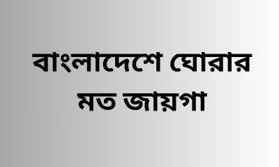 বাংলাদেশে ঘোরার মত জায়গা