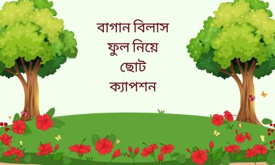 বাগান বিলাস ফুল নিয়ে ছোট ক্যাপশন