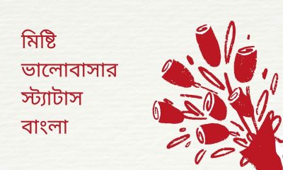মিষ্টি ভালোবাসার স্ট্যাটাস বাংলা