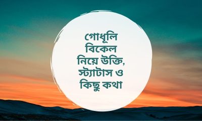 গোধূলি বিকেল নিয়ে উক্তি, স্ট্যাটাস ও কিছু কথা