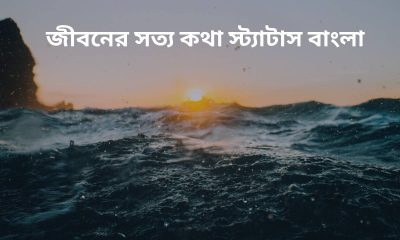 জীবনের সত্য কথা স্ট্যাটাস বাংলা