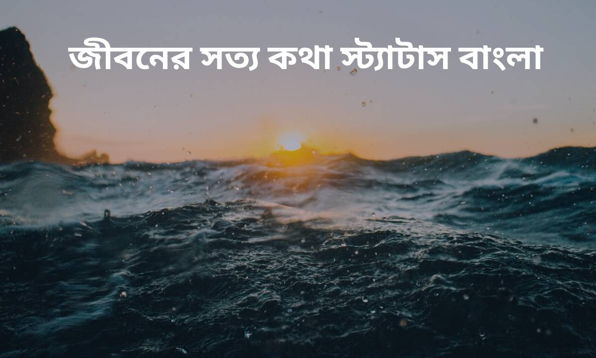 জীবনের সত্য কথা স্ট্যাটাস বাংলা