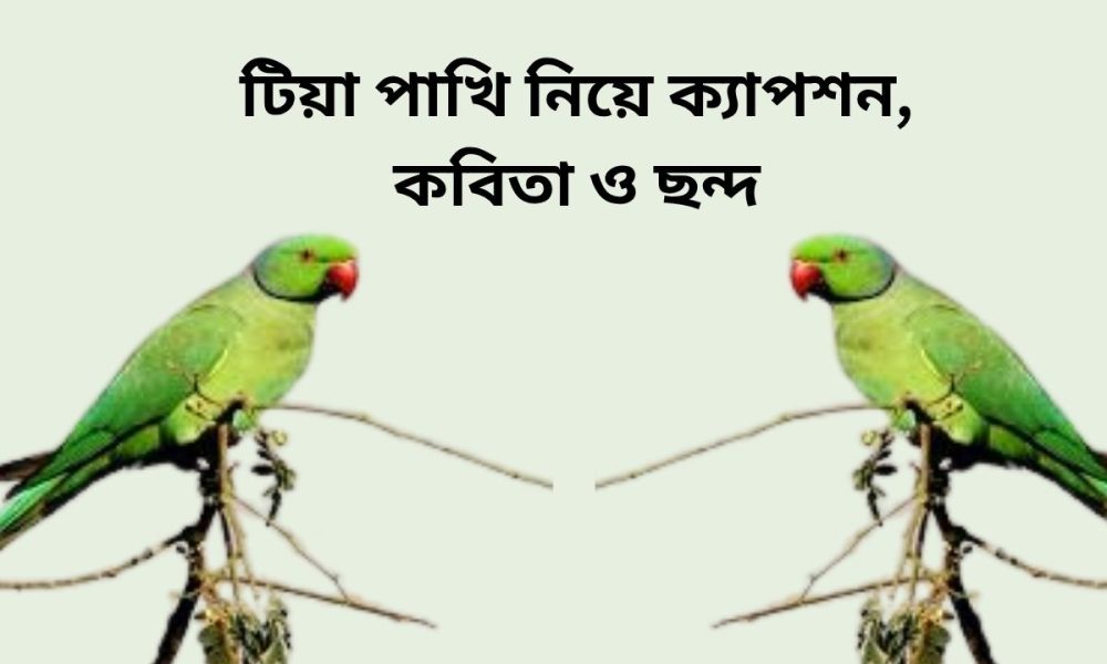টিয়া পাখি নিয়ে ক্যাপশন, কবিতা ও ছন্দ