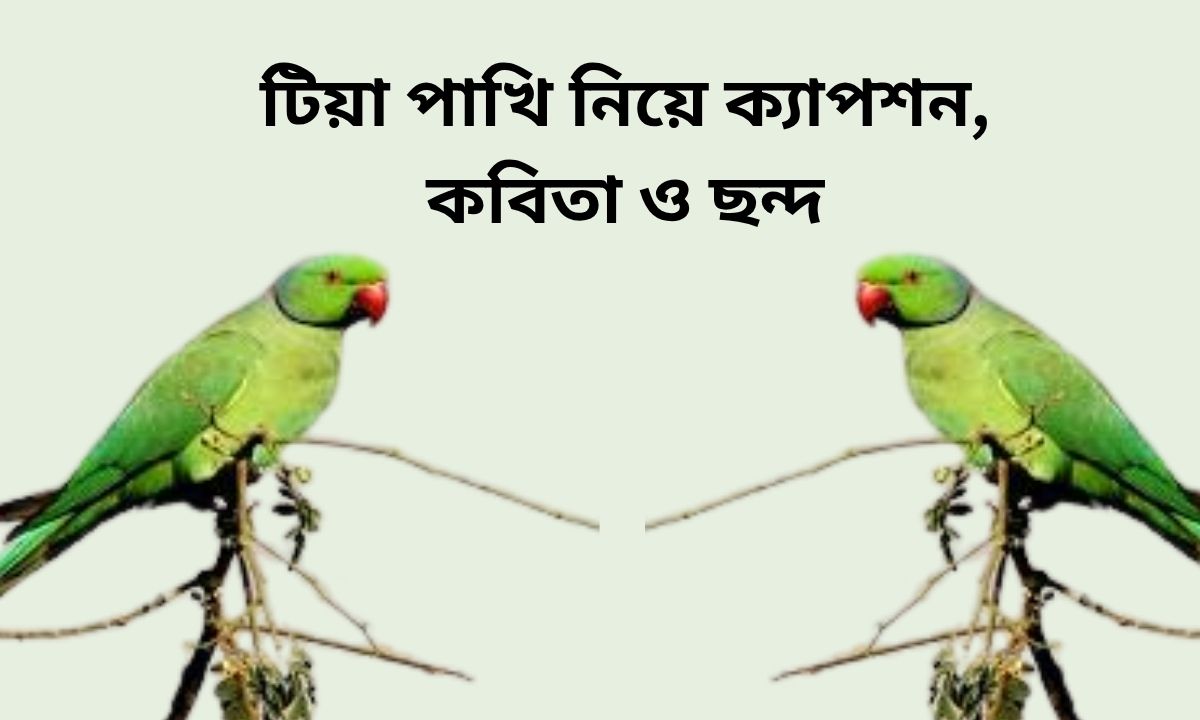 টিয়া পাখি নিয়ে ক্যাপশন, কবিতা ও ছন্দ