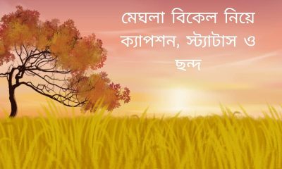 মেঘলা বিকেল নিয়ে ক্যাপশন, স্ট্যাটাস ও ছন্দ