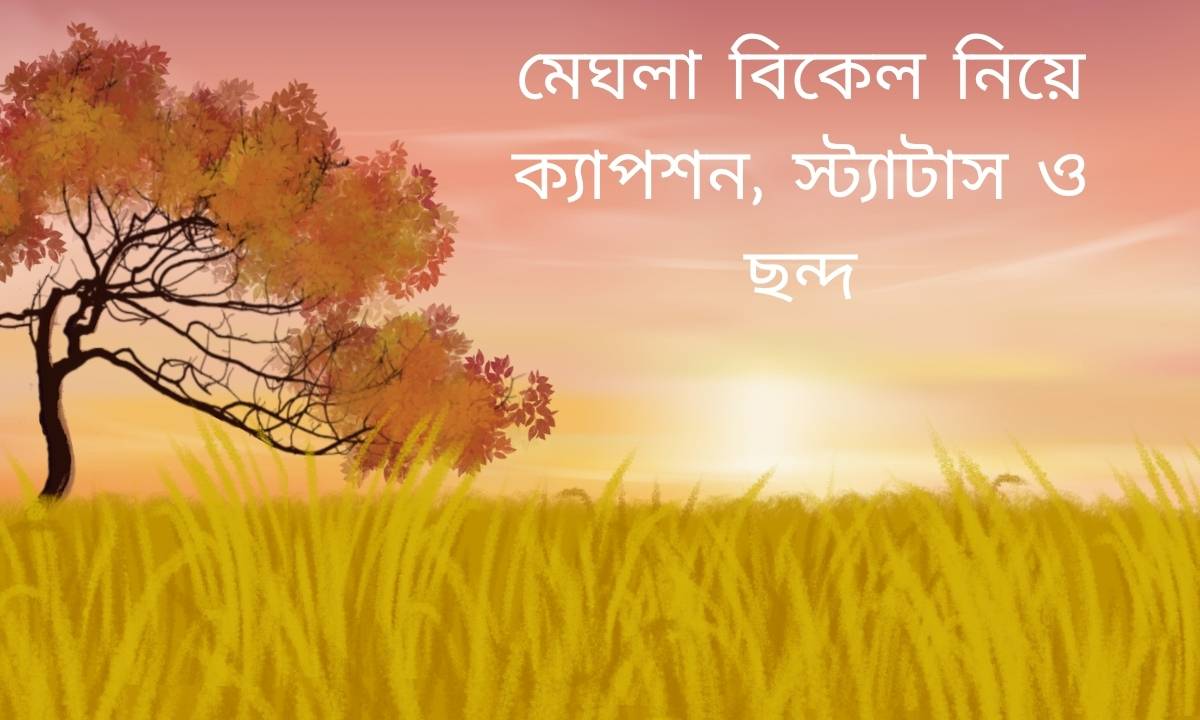 মেঘলা বিকেল নিয়ে ক্যাপশন, স্ট্যাটাস ও ছন্দ