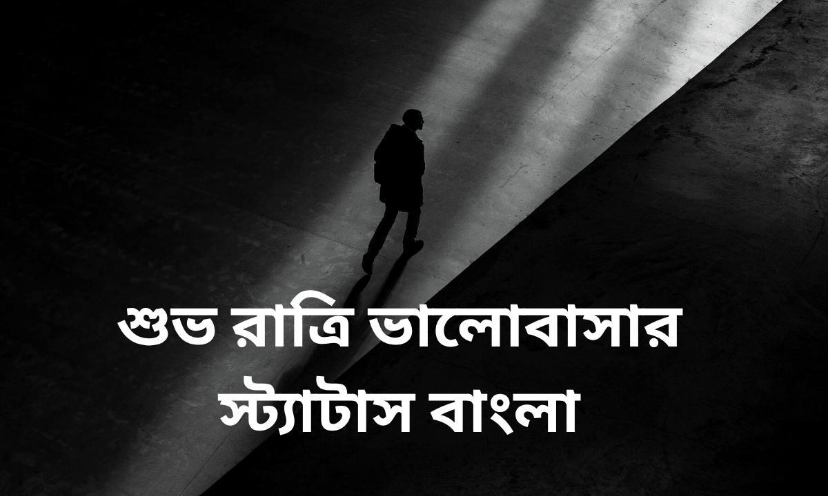 শুভ রাত্রি ভালোবাসার স্ট্যাটাস বাংলা