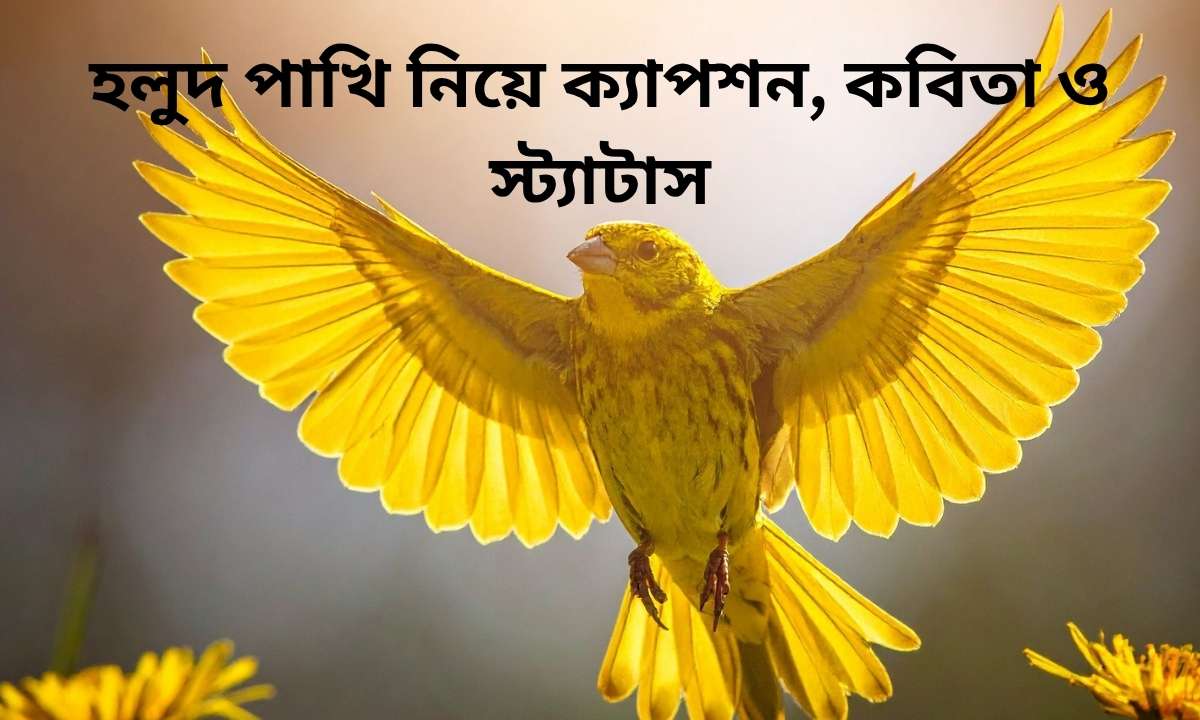 হলুদ পাখি নিয়ে ক্যাপশন, কবিতা ও স্ট্যাটাস