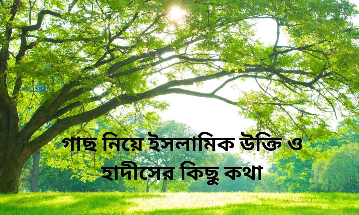 গাছ নিয়ে ইসলামিক উক্তি ও হাদীসের কিছু কথা