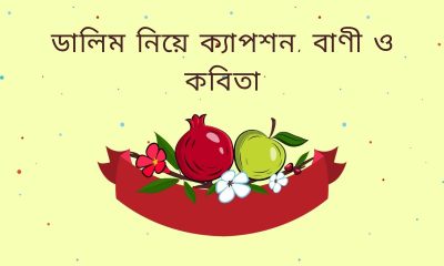 ডালিম নিয়ে ক্যাপশন, বাণী ও কবিতা