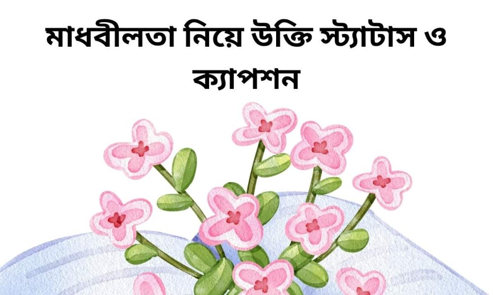 মাধবীলতা নিয়ে উক্তি স্ট্যাটাস ও ক্যাপশন