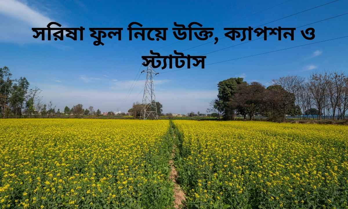 সরিষা ফুল নিয়ে উক্তি, ক্যাপশন ও স্ট্যাটাস