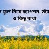 হলুদ ফুল নিয়ে ক্যাপশন, স্ট্যাটাস ও কিছু কথা