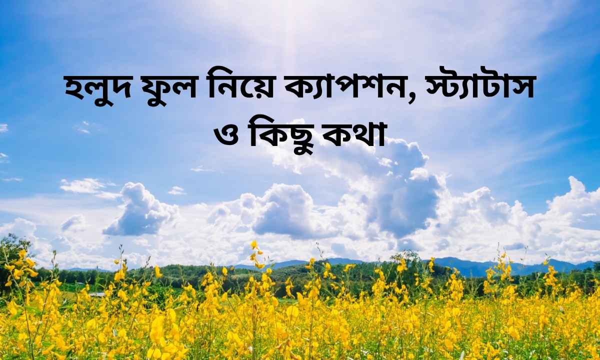 হলুদ ফুল নিয়ে ক্যাপশন, স্ট্যাটাস ও কিছু কথা