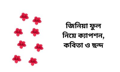 জিনিয়া ফুল নিয়ে ক্যাপশন, কবিতা ও ছন্দ